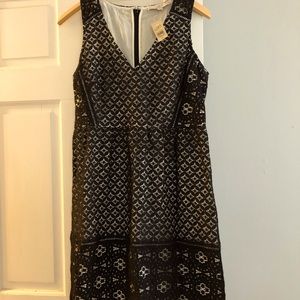 Loft dress size 12 petite